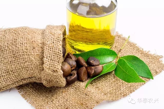 广东华泰农兴农产品交易中心