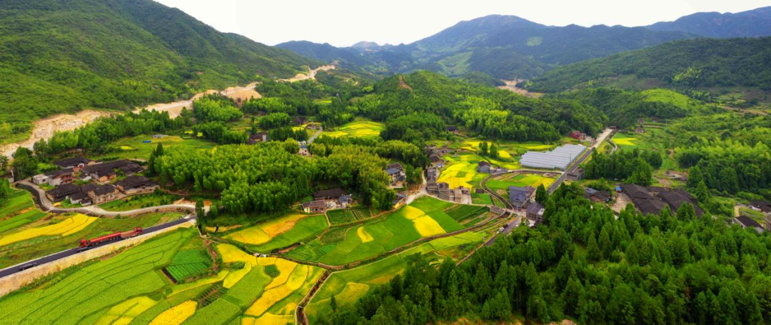 广东华泰农兴农产品交易中心