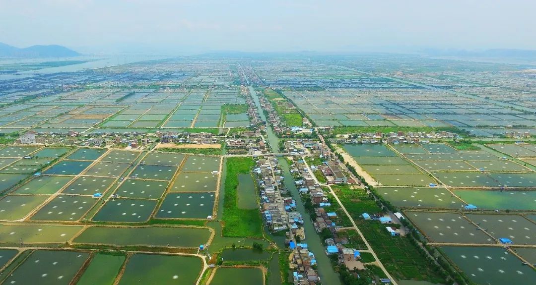 广东华泰农兴农产品交易中心